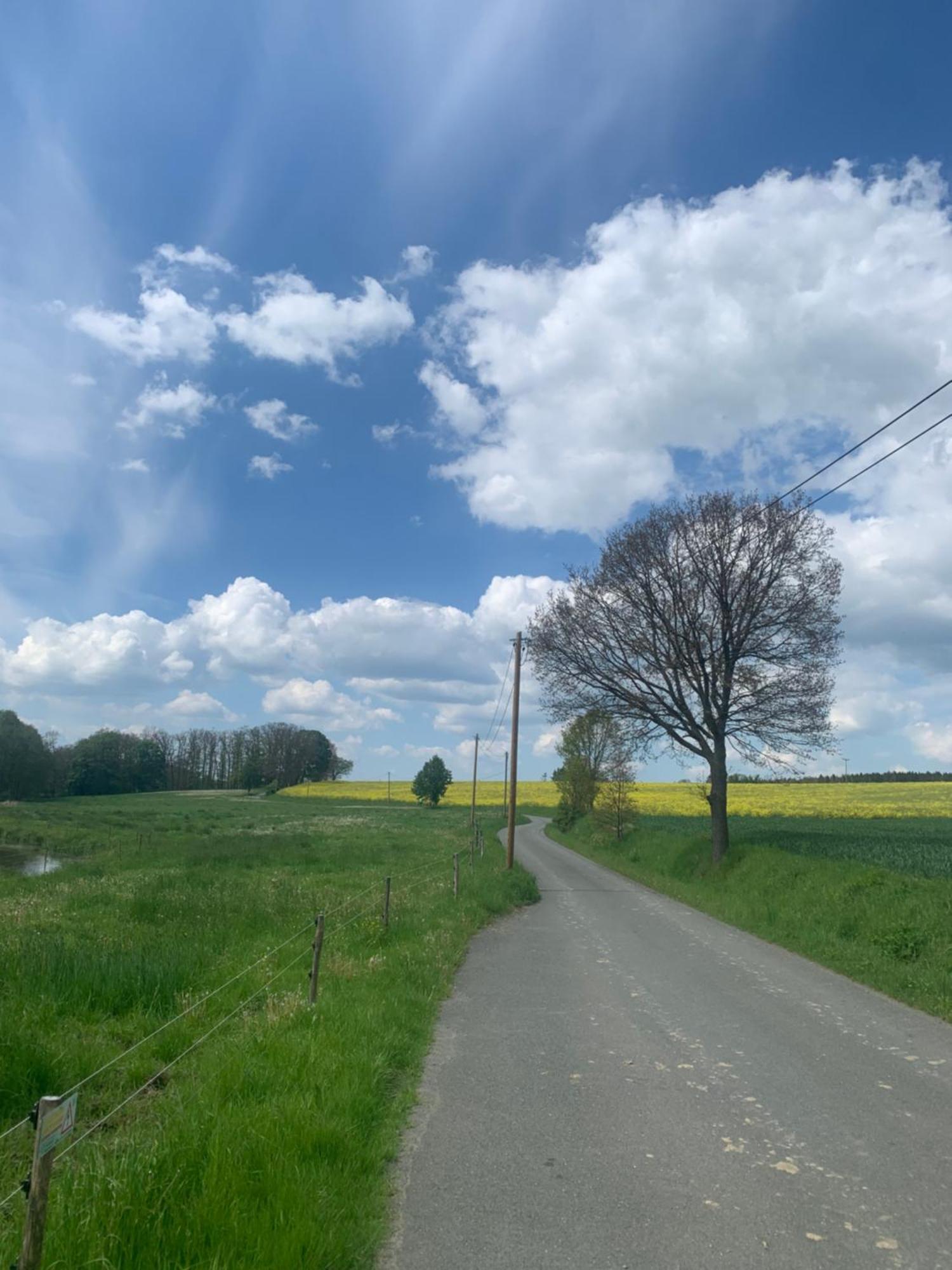 Gemuetliche In Idyllischer Lage-auf Dem Land Apartment Dittersdorf